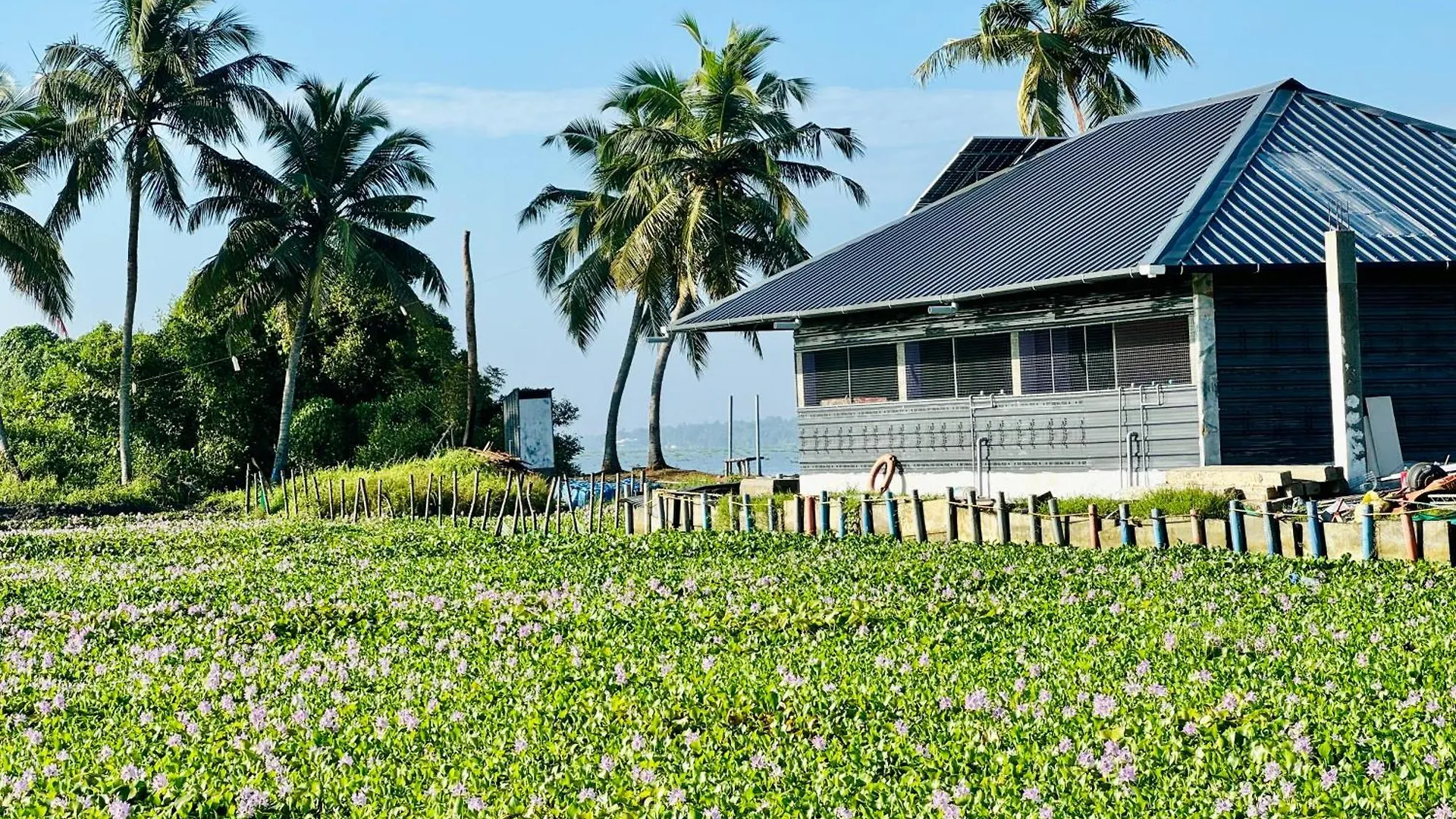 Luxury tent Punarjani Tent Stay Kochi