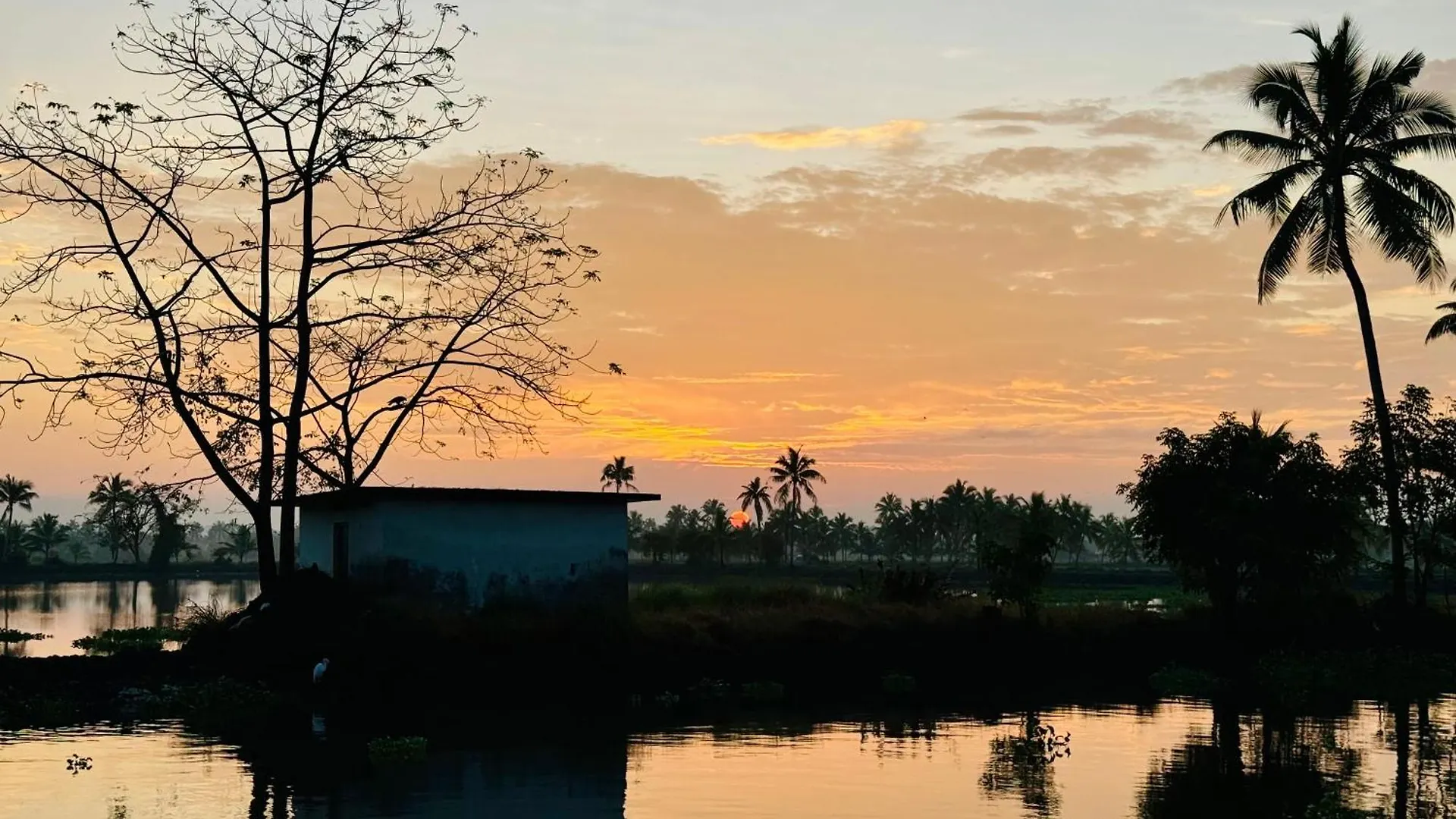 Luxury tent Punarjani Tent Stay Kochi